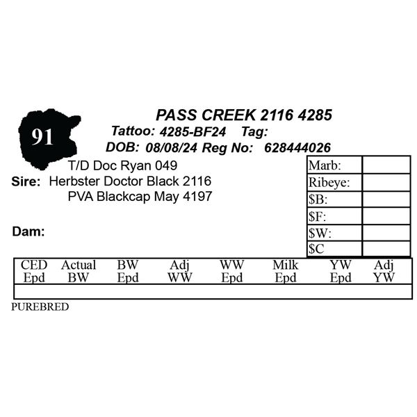 PASS CREEK 2116 4285