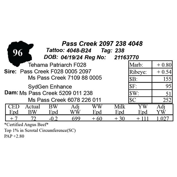 Pass Creek 2097 238 4048