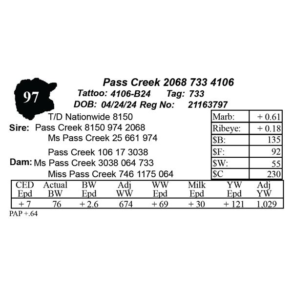 Pass Creek 2068 733 4106