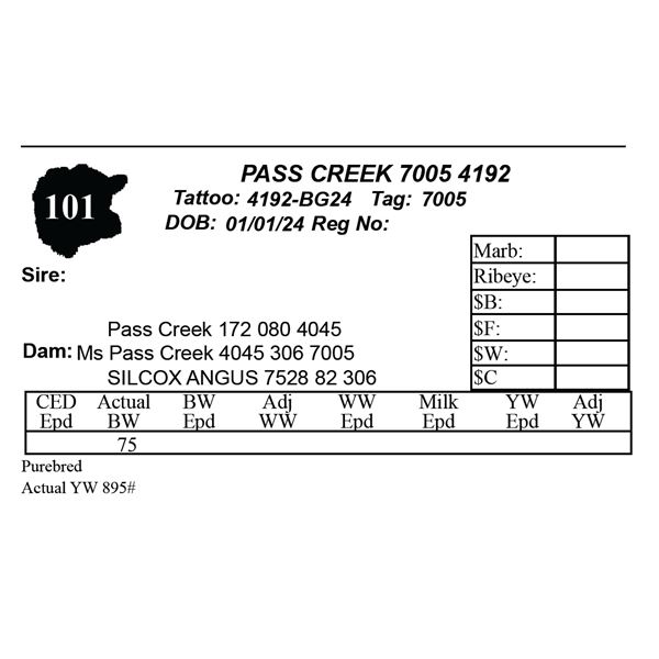 PASS CREEK 7005 4192