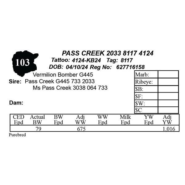 PASS CREEK 2033 8117 4124