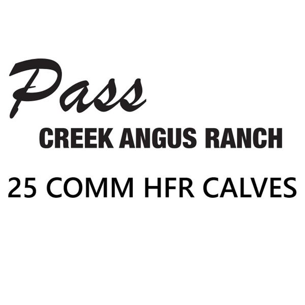 NEW LOT - 25 Commercial Heifer Calves