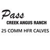 Image 1 : NEW LOT - 25 Commercial Heifer Calves
