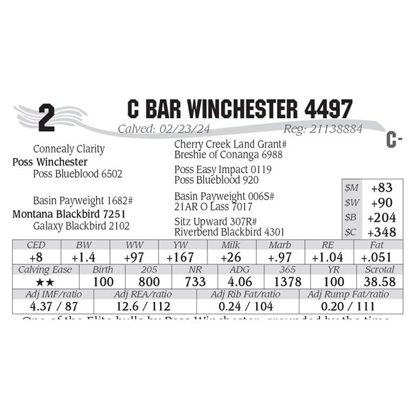 C Bar Winchester 4497