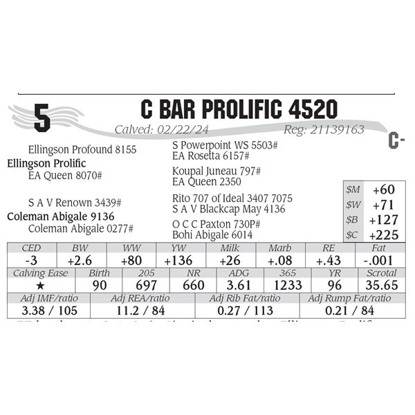 C Bar Prolific 4520