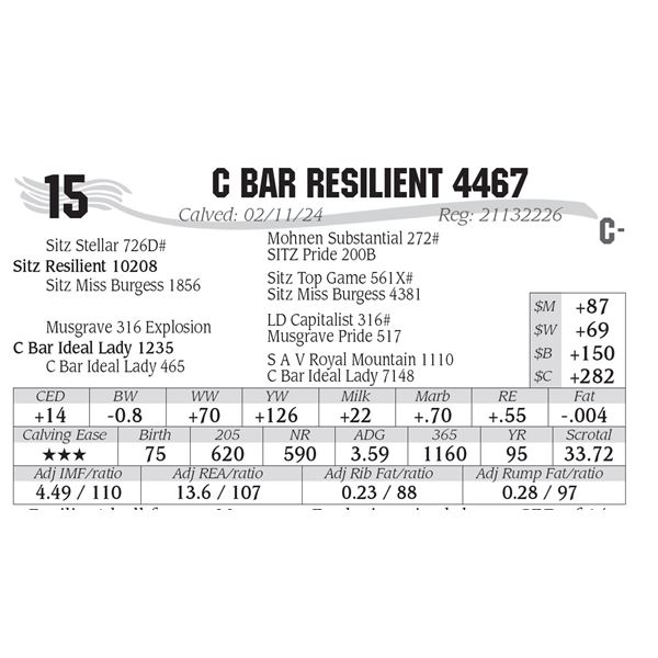C Bar Resilient 4467