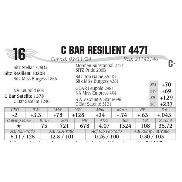 C Bar Resilient 4471