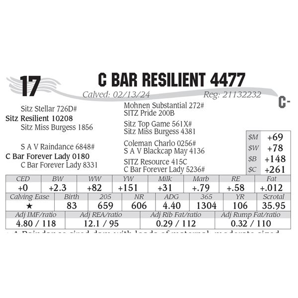 C Bar Resilient 4477