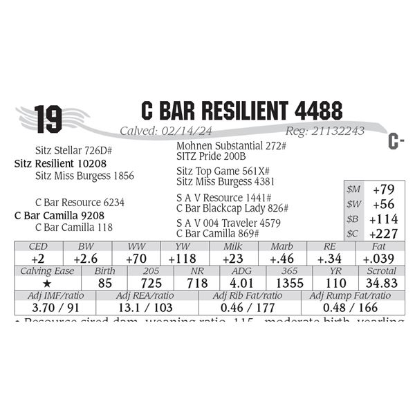 C Bar Resilient 4488