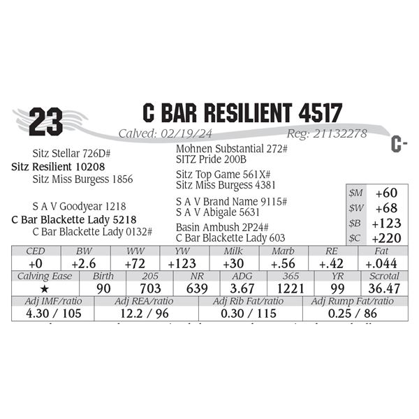 C Bar Resilient 4517