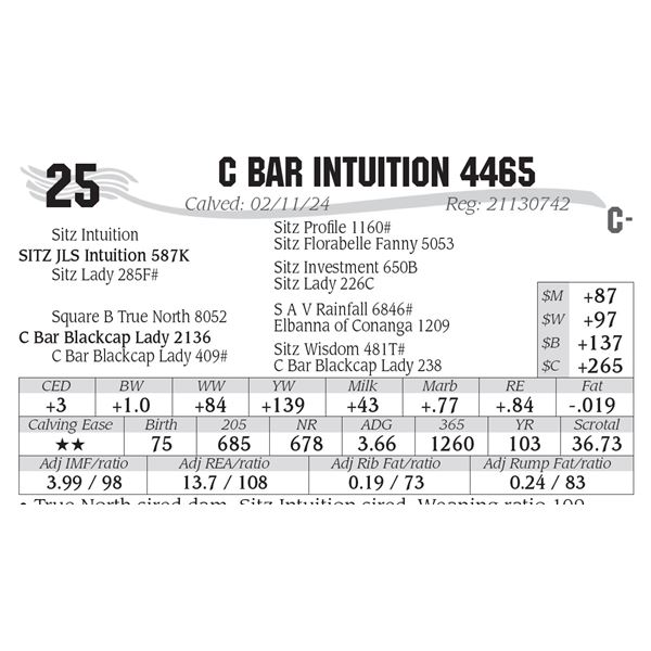 C Bar Intuition 4465