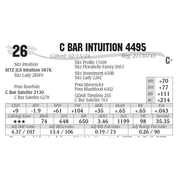 C Bar Intuition 4495