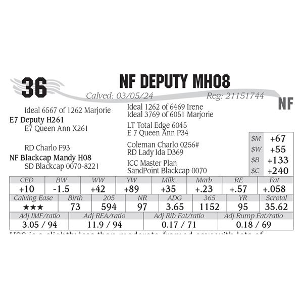 NF Deputy MH08