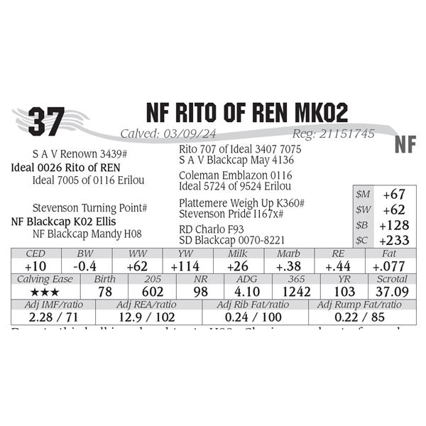 NF Rito of REN MK02