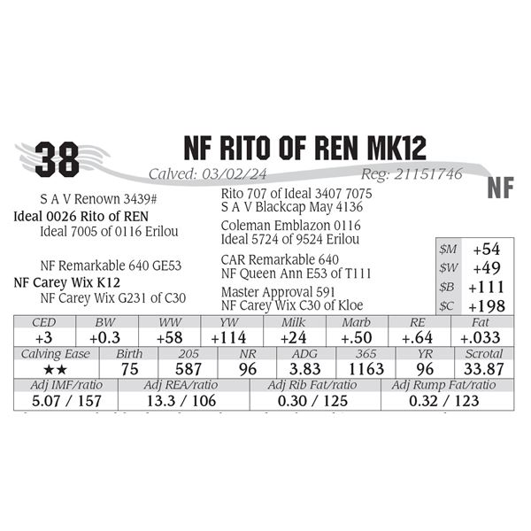 NF Rito of REN Mk12