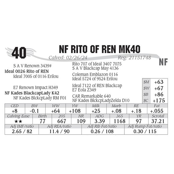NF Rito of REN MK40