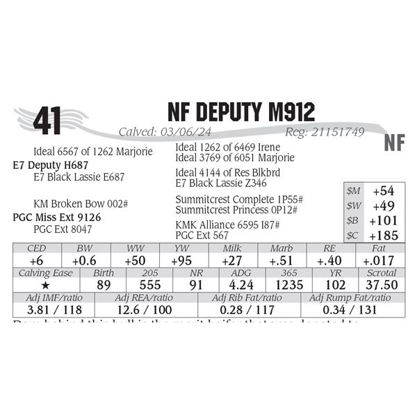 NF Deputy M912