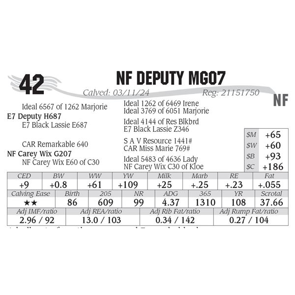 NF Deputy MG07