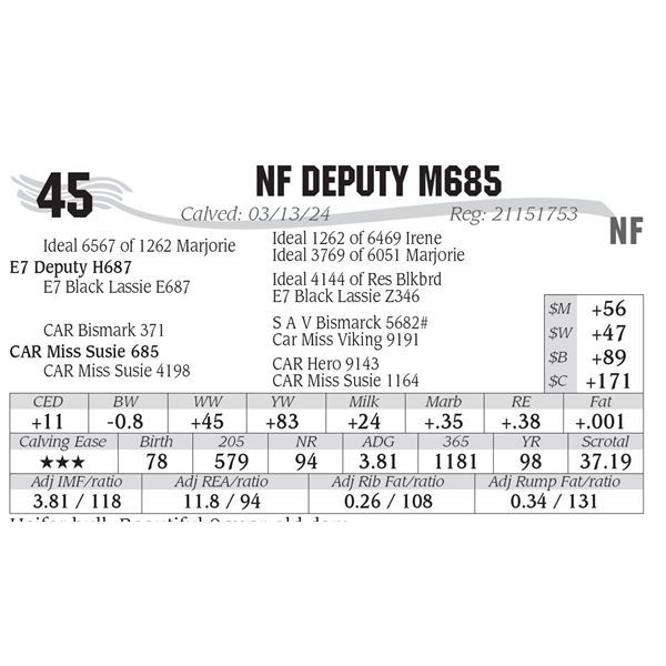 NF Deputy M685