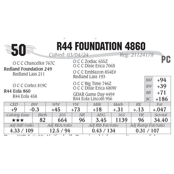 R44 Foundation 4860