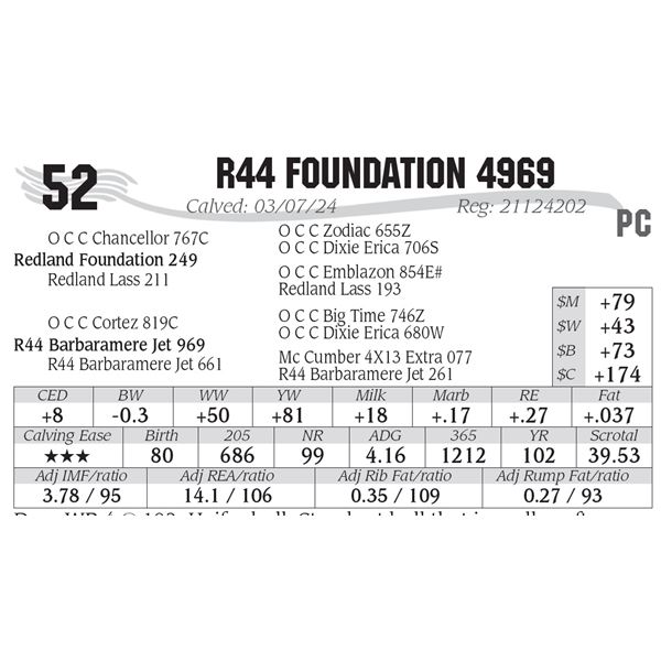 R44 Foundation 4969