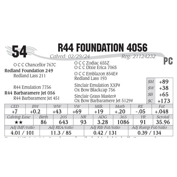 R44 Foundation 4056