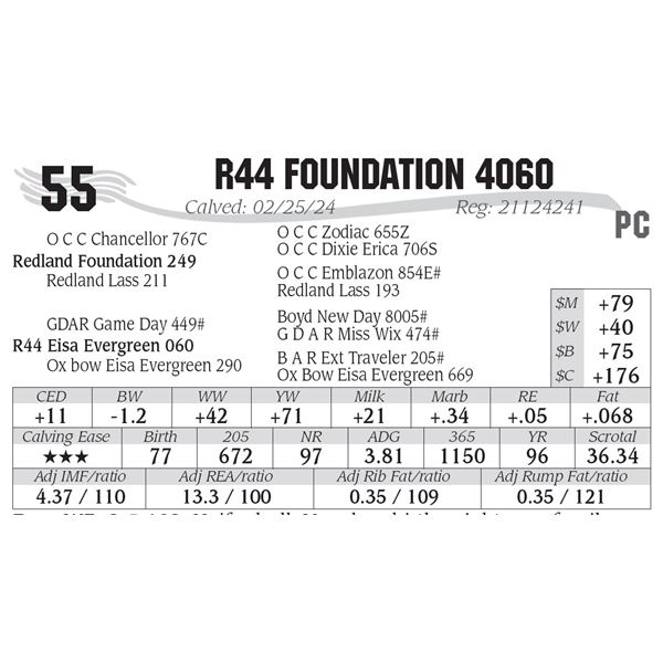 R44 Foundation 4060