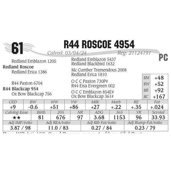 R44 Roscoe 4954