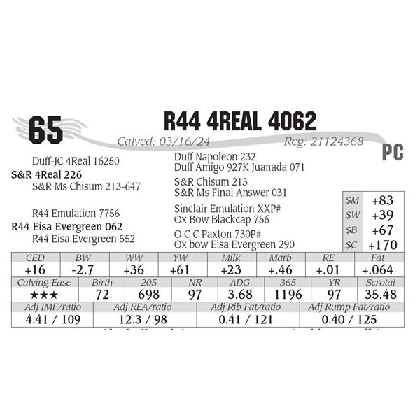 R44 4Real 4062