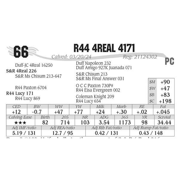 R44 4Real 4171
