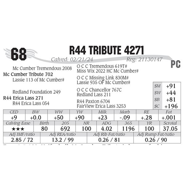 R44 Tribute 4271