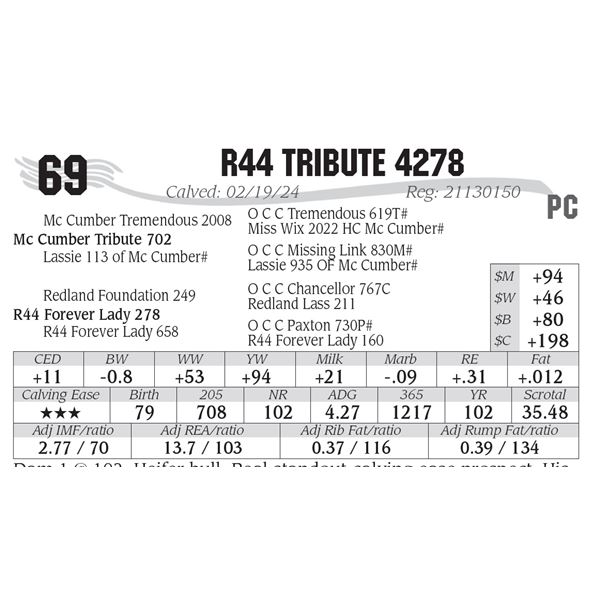 R44 Tribute 4278