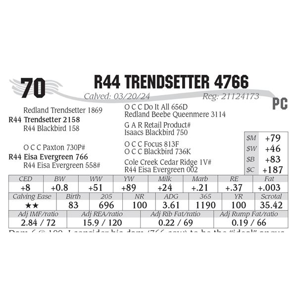 R44 Trendsetter 4766