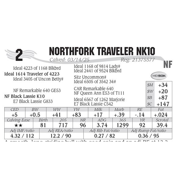 NorthFork Traveler NK10