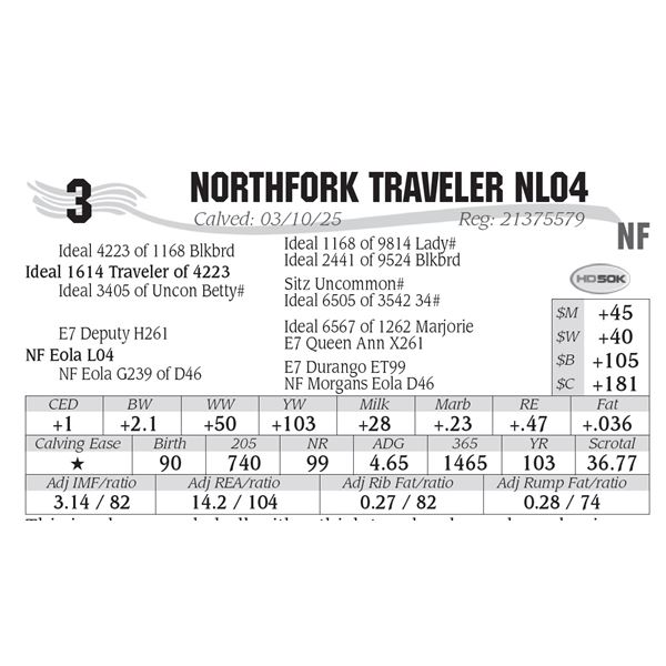 NorthFork Traveler NL04