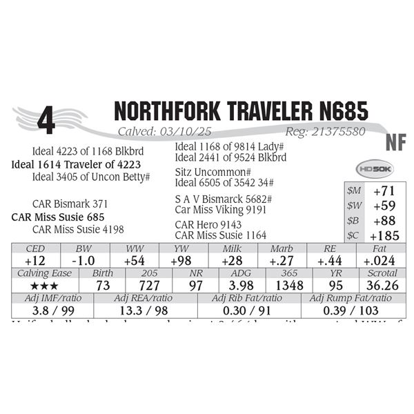 NorthFork Traveler N685