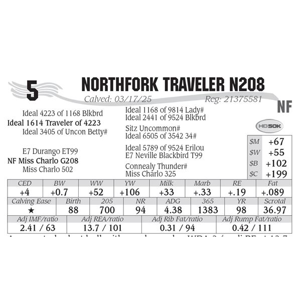NorthFork Traveler N208
