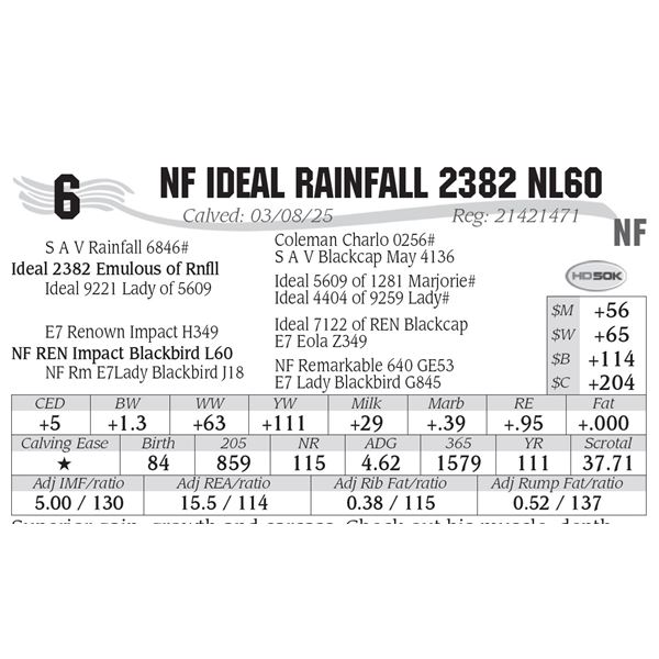 NF Ideal Rainfall 2382 NL60