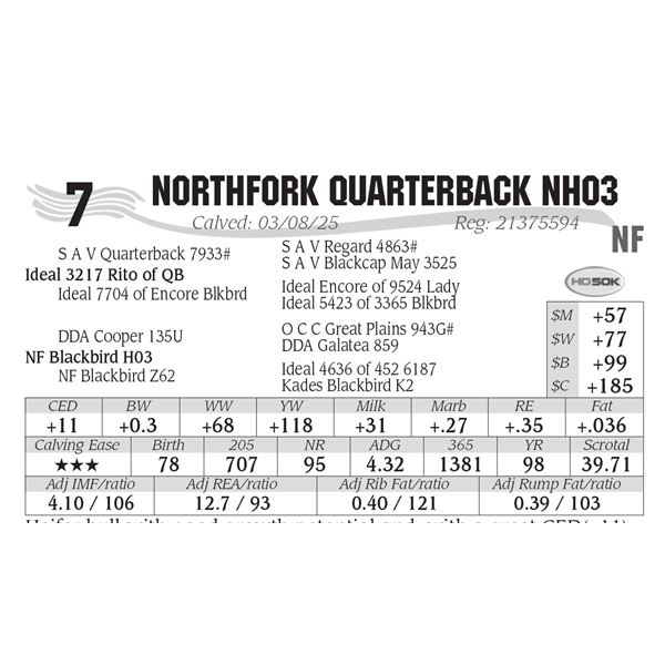NorthFork Quarterback NH03
