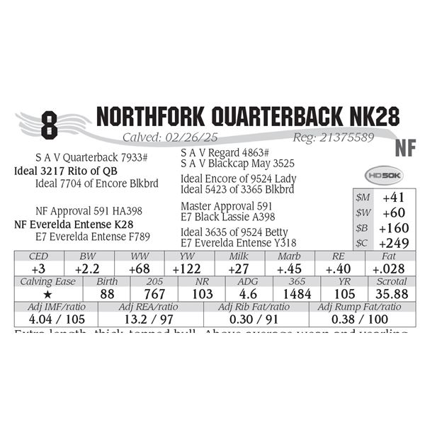 NorthFork Quarterback NK28