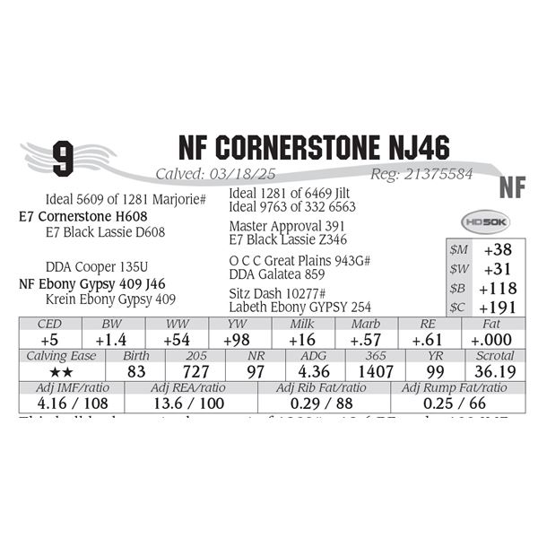 NF Cornerstone NJ46