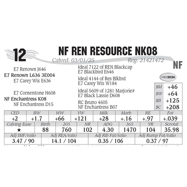 NF REN Resource NK08
