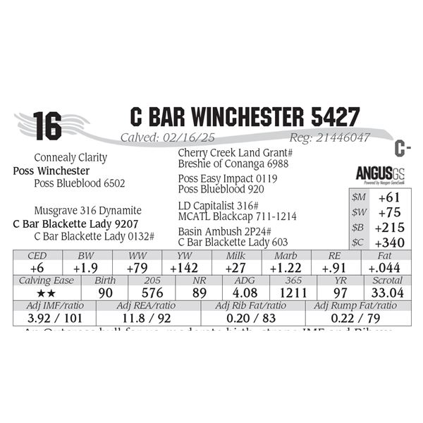 C Bar Winchester 5427