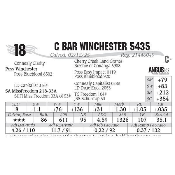 C Bar Winchester 5435
