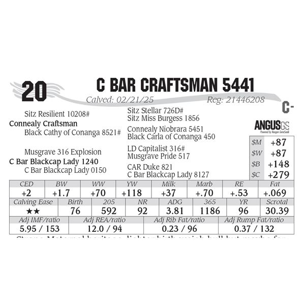 C Bar Craftsman 5441