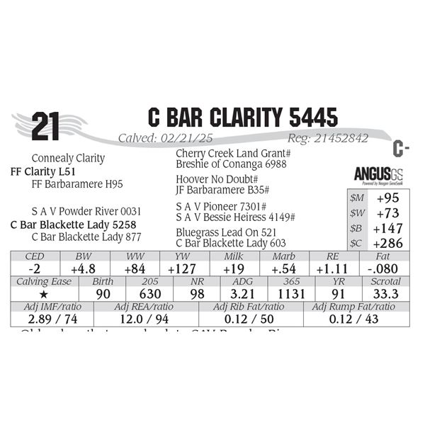 C Bar Clarity 5445