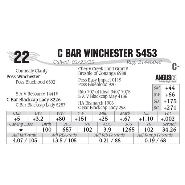 C Bar Winchester 5453