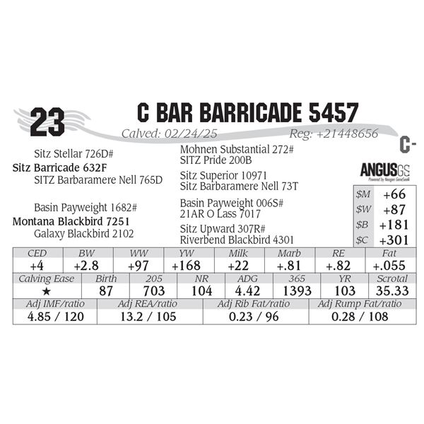 C Bar Barricade 5457