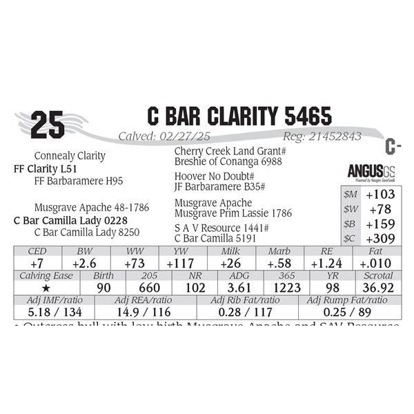 C Bar Clarity 5465