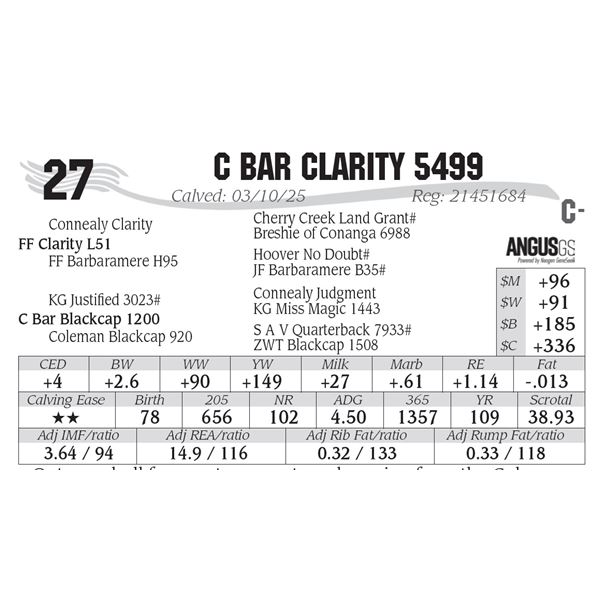 C Bar Clarity 5499